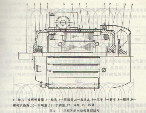 三相異步電動典型結構圖